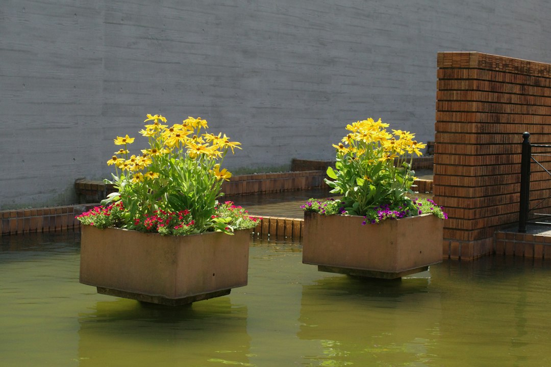 A couple of planters that are in the water