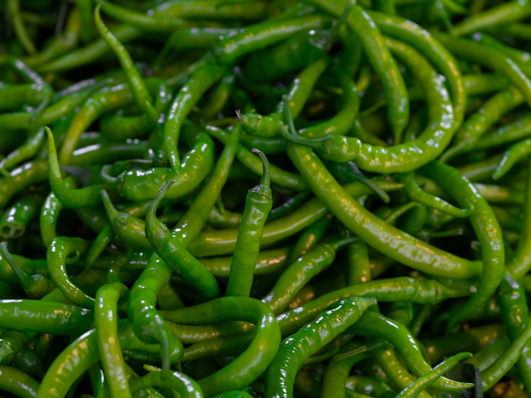 A pile of fresh green chili peppers