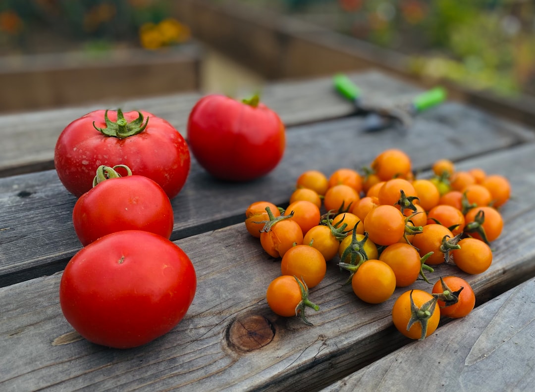 a group of tomatoes on a wooden surface