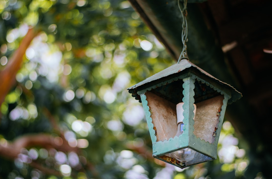 a birdhouse from a tree