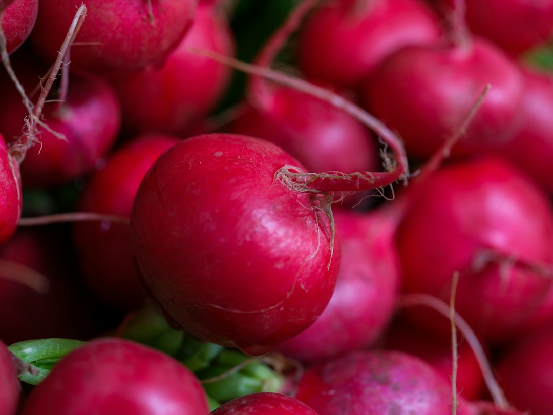A pile of fresh, red radishes with green tops