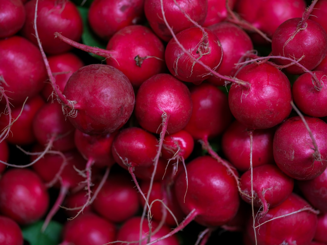 A pile of fresh, red radishes with green stems