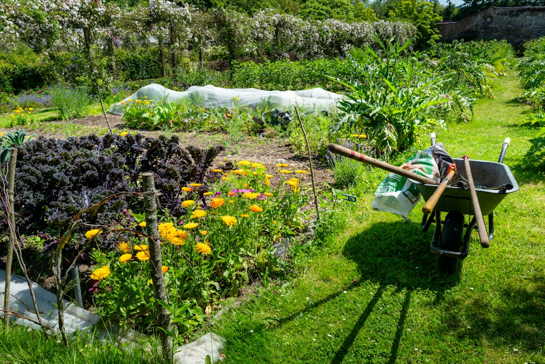 A lush garden with flowers, plants, and a wheelbarrow